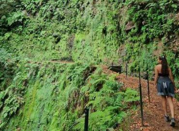 Randonnee levada da ribeira da janela à Madère