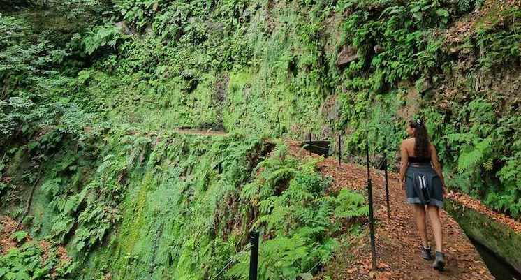 Randonnee levada da ribeira da janela à Madère