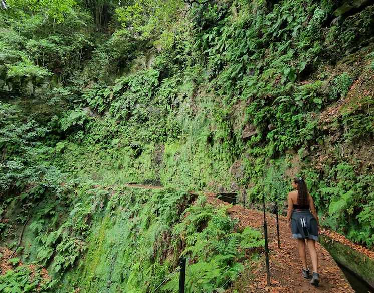 Randonnee levada da ribeira da janela à Madère